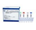 ReadyCq+®犬腺病毒2型荧光PCR检测试剂盒（冻干）