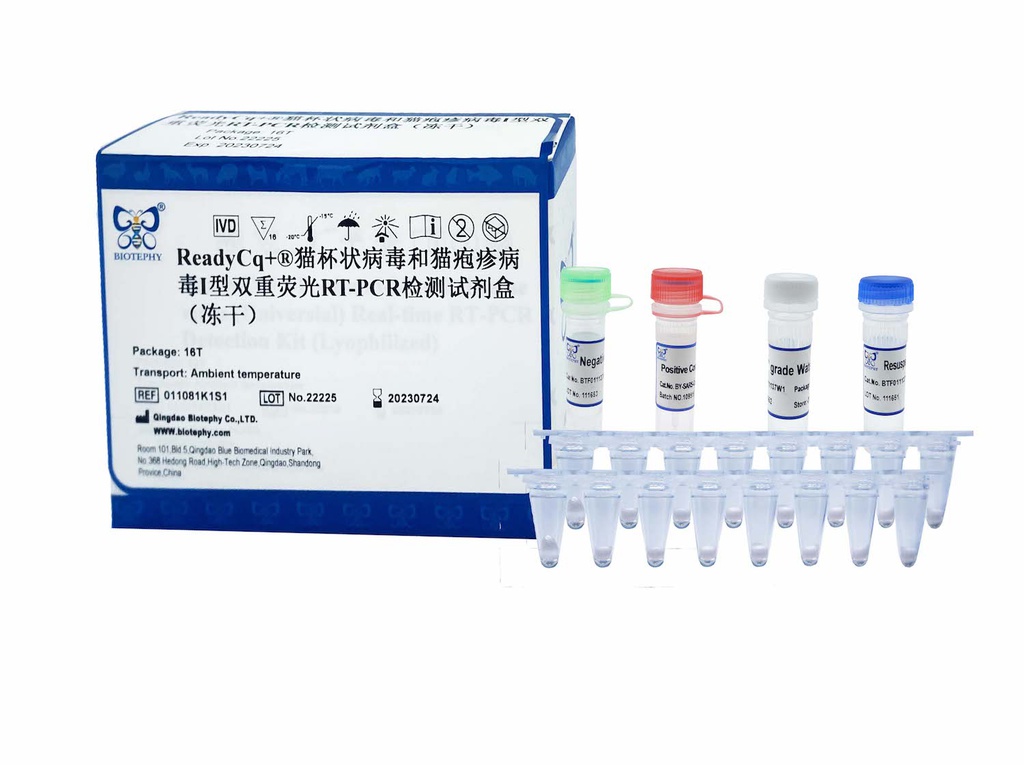ReadyCq+®猫杯状病毒和猫疱疹病毒I型双重荧光RT-PCR检测试剂盒（冻干）