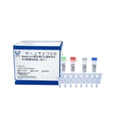 ReadyCq+®猫汉赛巴尔通体荧光PCR检测试剂盒（冻干）