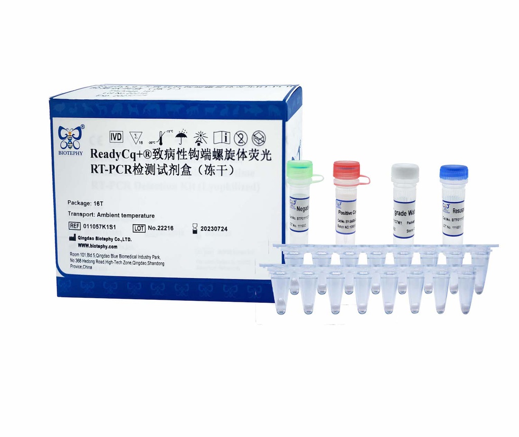 ReadyCq+®致病性钩端螺旋体荧光RT-PCR检测试剂盒（冻干）