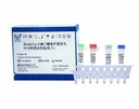 ReadyCq+®幽门螺旋杆菌荧光PCR检测试剂盒(冻干)