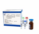 AllReady®Senecavirus A Realtime RT-PCR Detection Kit  (Lyophilized)