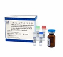 AllReady®Porcine epidemic diarrhea virus (classical wild strains/vaccine strains) Duplex Real-time RT-PCR Detection Kit (Lyophilized)