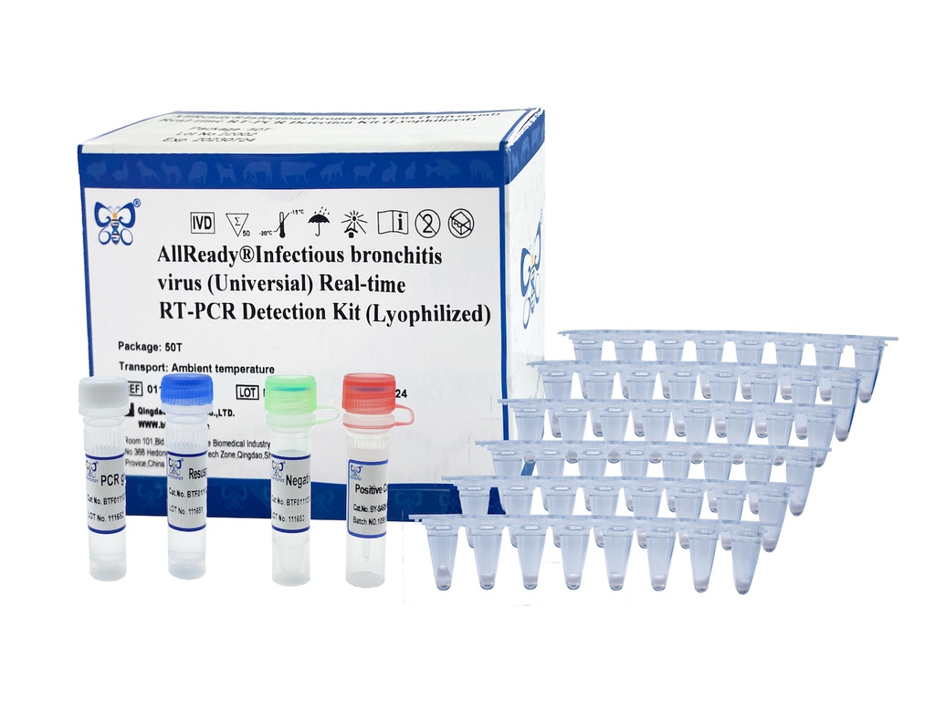 ReadyCq+®传染性支气管炎(通用型)荧光RT-PCR试剂盒（冻干）