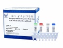 ReadyCq+®布鲁氏菌属荧光PCR检测试剂盒（冻干）