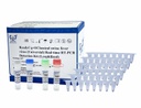 ReadyCq+®猪瘟病毒(通用型)荧光RT-PCR检测试剂盒（冻干）