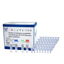 ReadyCq+®Japanese encephalitis virus Real-time RT-PCR Detection Kit (Lyophilized)