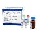AllReady®Avian influenza A virus (Universal) Real-time RT-PCR Detection Kit (Lyophilized)
