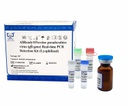 AllReady®猪伪狂犬病毒(gB基因)荧光PCR检测试剂盒（冻干）