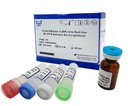 AllReady®禽流感病毒(H5亚型)荧光RT-PCR检测试剂盒（冻干）