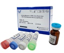 AllReady®Avian influenza A (H5) virus Real-time RT-PCR Detection Kit (Lyophilized)