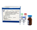 AllReady®丝状支原体丝状亚种SC型荧光PCR检测试剂盒（冻干）