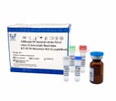 AllReady®猪瘟病毒(通用型)荧光RT-PCR检测试剂盒（冻干）