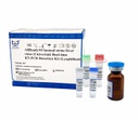 AllReady®Classical swine fever virus (Universal) Real-time RT-PCR Detection Kit (Lyophilized)