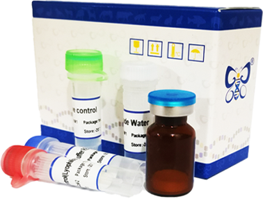 All-Ready Duplex Real-time PCR Detection Kit (Lyophilized)