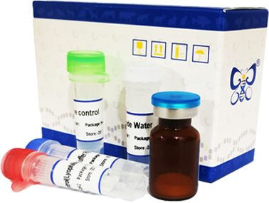 All-Ready双重荧光PCR检测试剂盒（冻干）