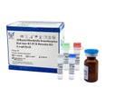 AllReady®Bordetella bronchiseptica Real-time RT-PCR Detection Kit (Lyophilized)