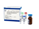 AllReady®猫疱疹病毒1型(猫鼻支)荧光PCR检测试剂盒（冻干）