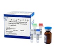 AllReady®猫白血病病毒荧光RT-PCR检测试剂盒（冻干）