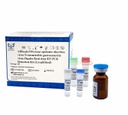 AllReady®Porcine epidemic diarrhea virus/Transmissible gastroenteritis virus Duplex Real-time RT-PCR Detection Kit (Lyophilized)