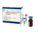AllReady®犬腺病毒1型荧光PCR检测试剂盒（冻干）