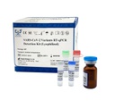 SARS-CoV-2 Variants RT-qPCR Detection Kit (Lyophilized)