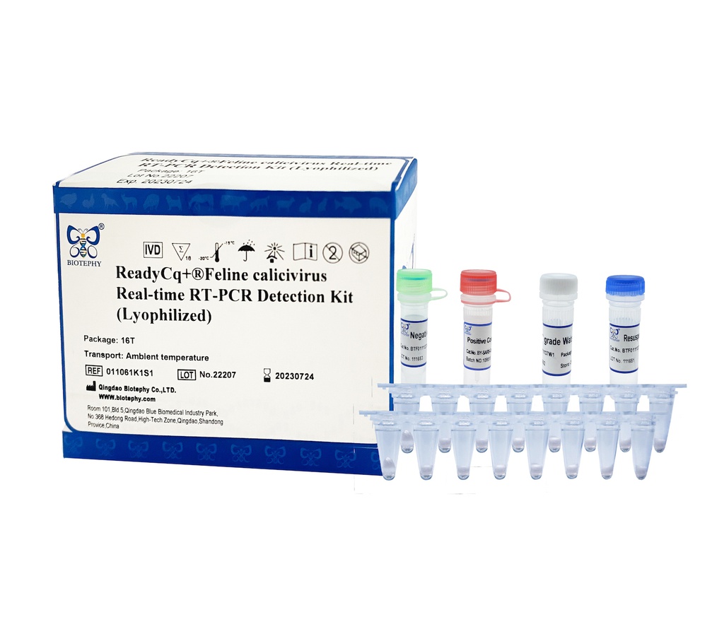 ReadyCq+®Feline calicivirus Real-time RT-PCR Detection Kit (Lyophilized)