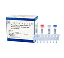 ReadyCq+®猫衣原体荧光PCR检测试剂盒（冻干）
