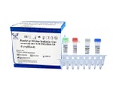ReadyCq+®Feline leukemia virus Real-time RT-PCR Detection Kit (Lyophilized)