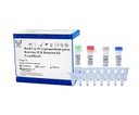 ReadyCq+®Cryptosporidium genus Real-time PCR Detection Kit (Lyophilized)