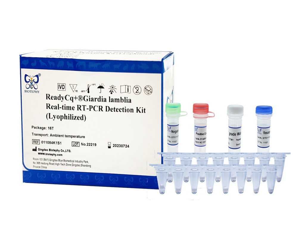 ReadyCq+®贾第鞭毛虫荧光RT-PCR检测试剂盒（冻干）