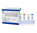 ReadyCq+®Feline calicivirus and Feline herpesvirus type 1 Duplex Real-time RT-PCR Detection Kit (Lyophilized)
