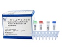 ReadyCq+®猫汉赛巴尔通体荧光PCR检测试剂盒（冻干）