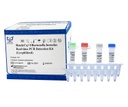 ReadyCq+®Bartonella henselae Real-time PCR Detection Kit (Lyophilized)