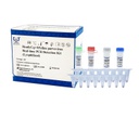 ReadyCq+®猫细小病毒荧光PCR检测试剂盒 （冻干）