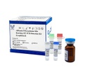 AllReady®Mycoplasma felis Real-time RT-PCR Detection Kit (Lyophilized)