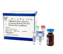 AllReady®Canine respiratory coronavirus Real-time RT-PCR Detection Kit (Lyophilized)