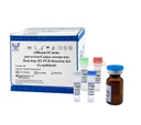 AllReady®Canine parvovirus/Canine coronavirus Real-time RT-PCR Detection Kit (Lyophilized)