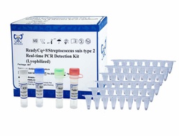 ReadyCq+®Streptococcus suis serotype 2 Real-time PCR Detection Kit (Lyophilized)