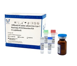 [011069K1B2] AllReady®犬腺病毒1型荧光PCR检测试剂盒（冻干）