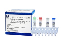 ReadyCq+®致病性钩端螺旋体荧光RT-PCR检测试剂盒（冻干）