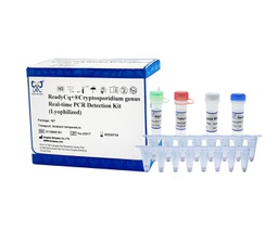 ReadyCq+®隐孢子虫属荧光RT-PCR检测试剂盒（冻干）