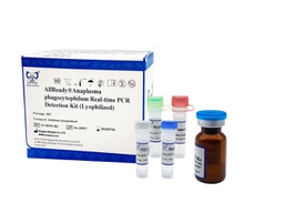 [011007K1B2] AllReady®嗜吞噬细胞无形体荧光RT-PCR检测试剂盒（冻干）