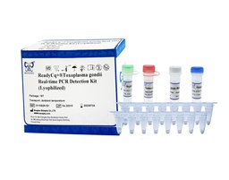 ReadyCq+®弓形虫荧光PCR检测试剂盒（冻干）