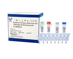 ReadyCq+®Canine adenovirus type 1 Real-time PCR Detection Kit (Lyophilized)