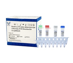 ReadyCq+®Canine adenovirus type 2 Real-time PCR Detection Kit (Lyophilized)