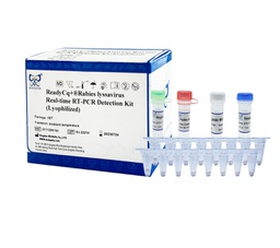 ReadyCq+®Rabies lyssavirus Real-time RT-PCR Detection Kit (Lyophilized)