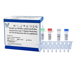 ReadyCq+®Feline calicivirus and Feline herpesvirus type 1 Duplex Real-time RT-PCR Detection Kit (Lyophilized)