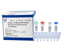 ReadyCq+®Bartonella henselae Real-time PCR Detection Kit (Lyophilized)