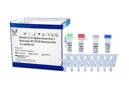 ReadyCq+®Alphacoronavirus 1 Real-time RT-PCR Detection Kit (Lyophilized)